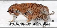 Sonidos de animales