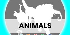 Los Animales-the animals