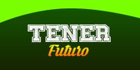 Tener (Futuro simple)