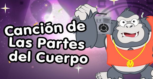 Las partes del cuerpo-spanishcircles