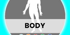 El cuerpo-The body