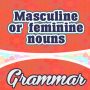 Masculine or feminine nouns