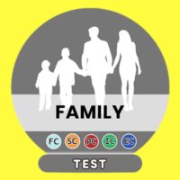 The Family Spanish Test
