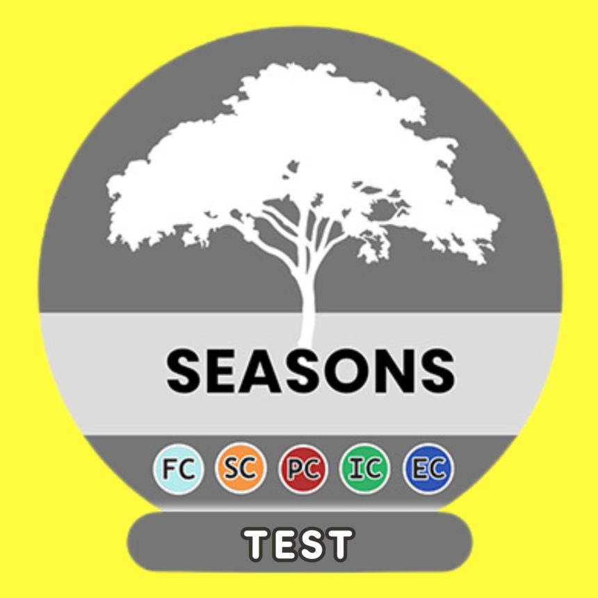 Seasons of the year Spanish Test