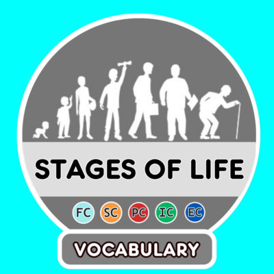Las etapas de la vida – Stages of life