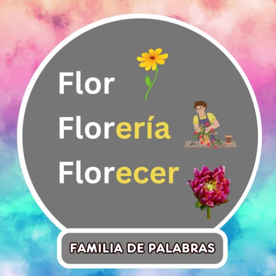 Flor – Florería – Florecer