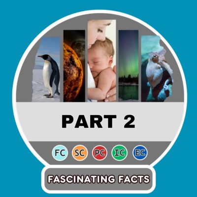 5 hechos fascinantes para compartir con tus amigos - parte 2