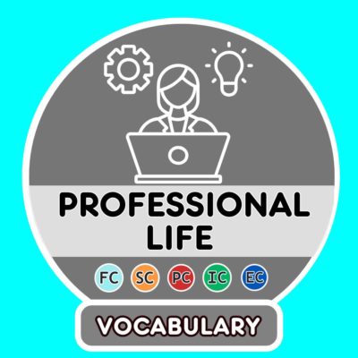 La vida profesional